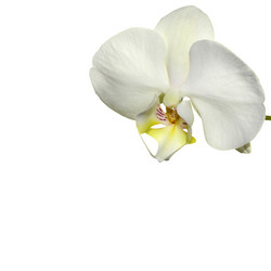 Similar image 8360011