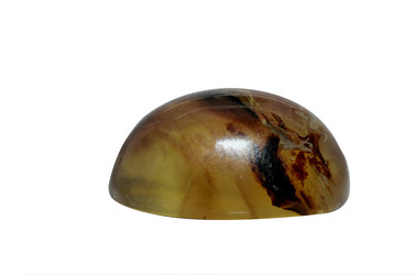 Similar image 8360134