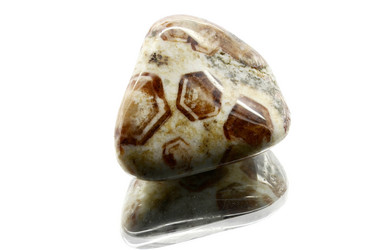 Similar image 8360150