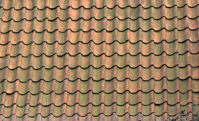 Similar image 8360195