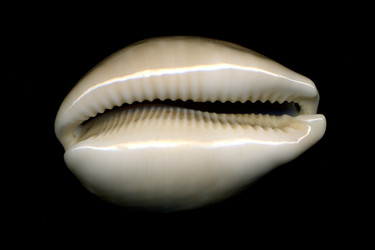 Similar image 8360280