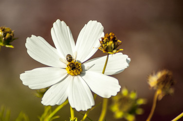 Similar image 8360281