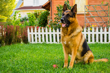 Similar image 8360343