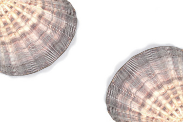 Similar image 8360378