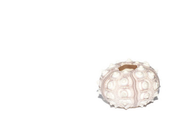 Similar image 8360382