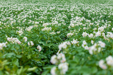 Similar image 8361087