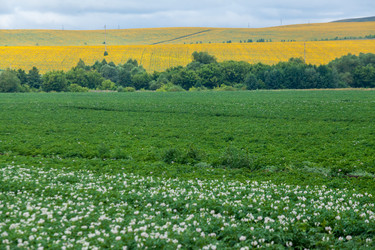 Similar image 8361088