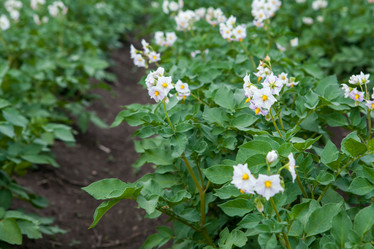 Similar image 8361089