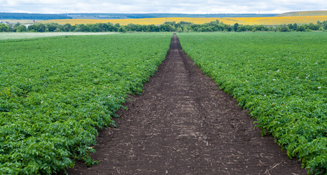 Similar image 8361090