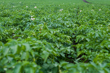 Similar image 8361091