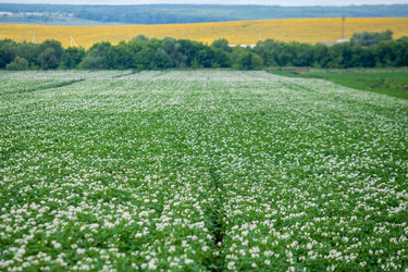 Similar image 8361093