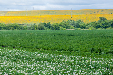 Similar image 8361094