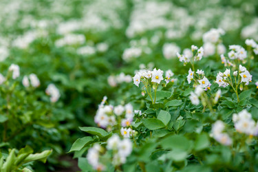 Similar image 8361095