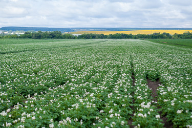 Similar image 8361124