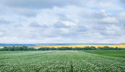 Similar image 8361125