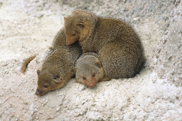 Similar image 8361152