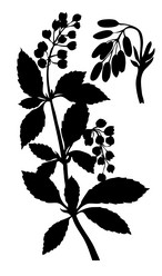 Similar image 8361176