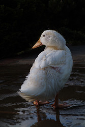 Similar image 8361187