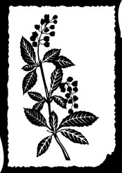 Similar image 8361193