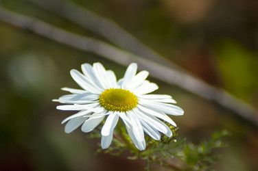 Similar image 8361331