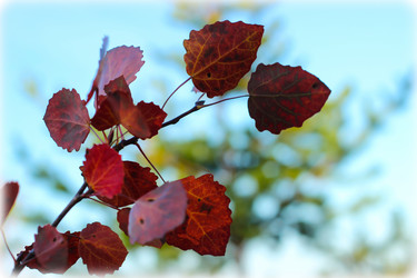 Similar image 8361332