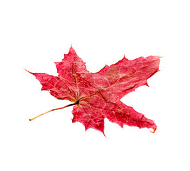 Similar image 8361495