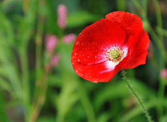 Similar image 8361497