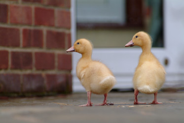 Similar image 8361660