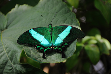 Similar image 8361747