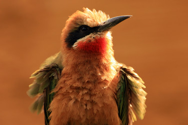 Similar image 8361750