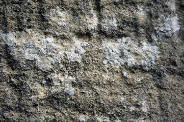 Similar image 8361761