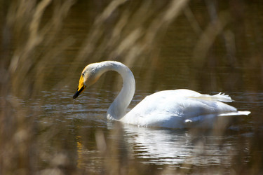 Similar image 8361787