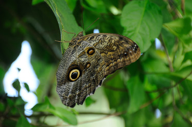 Similar image 8361788