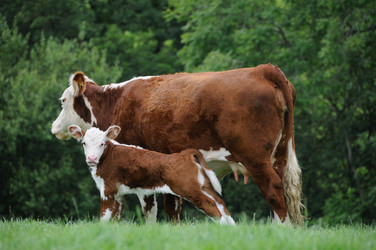 Similar image 8361793