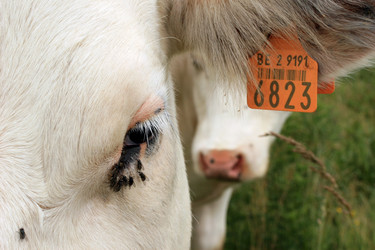 Similar image 8361798