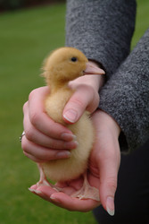 Similar image 8361800