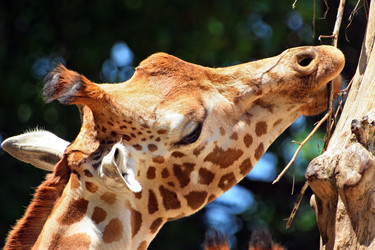 Similar image 8361805