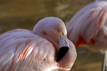 Similar image 8361806