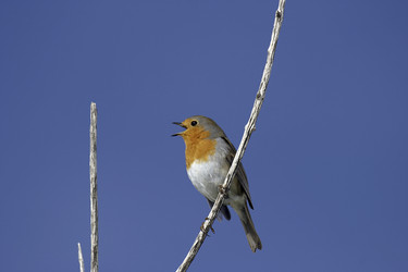 Similar image 8361808