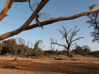 Similar image 8361811