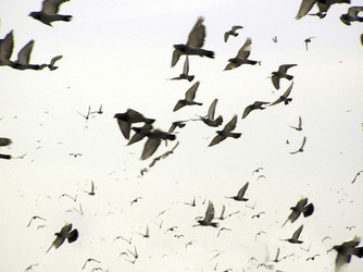 Similar image 8361818