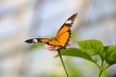 Similar image 8361821