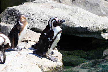 Similar image 8361822