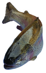 Similar image 8361829