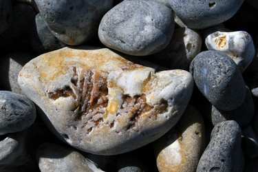 Similar image 8361833