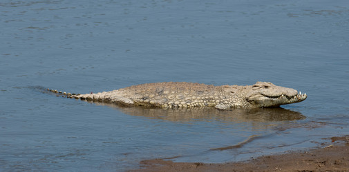 Similar image 8361835