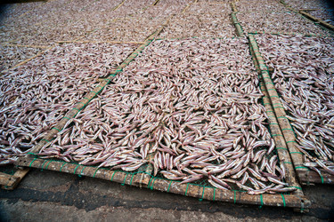 Similar image 8361952