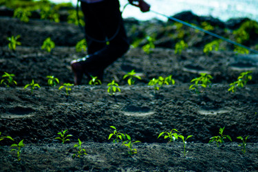 Similar image 8361963