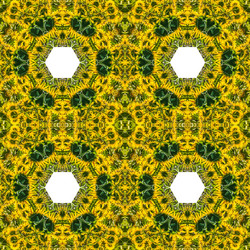 Similar image 8361991