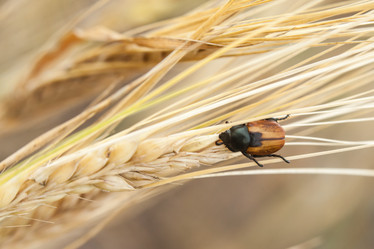 Similar image 8362036